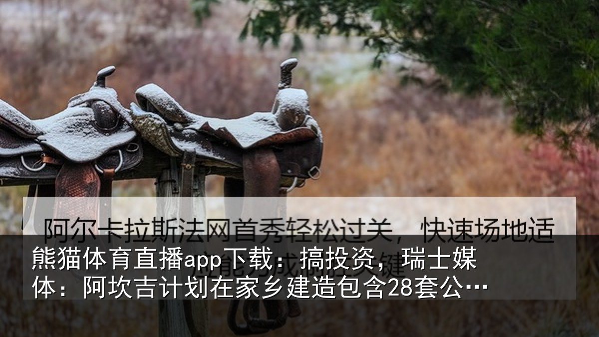熊猫体育直播app下载：搞投资，瑞士媒体：阿坎吉计划在家乡建造包含28套公寓的住宅