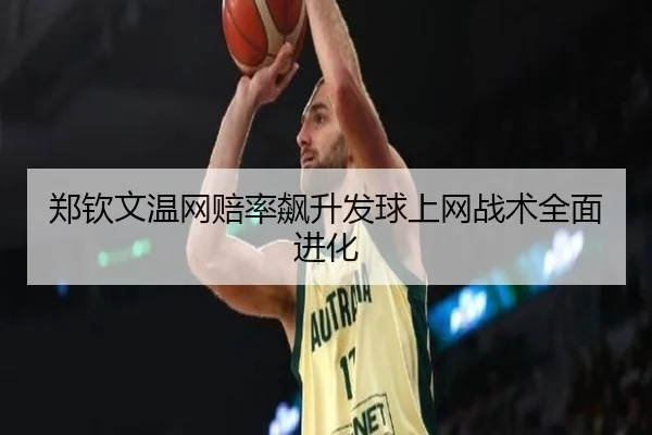 zheng-qin-wen-wen-wang-pei-lv-biao-sheng-fa-qiu-shang-wang-zhan-shu-quan-mian-jin-hua-2-915.jpg