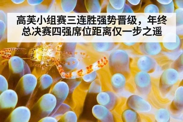 高芙小组赛三连胜强势晋级，年终总决赛四强席位距离仅一步之遥